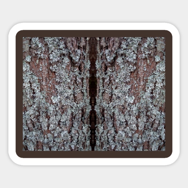 The texture of the brown bark of a tree with lichen on it. Sticker by TaliArtiYa